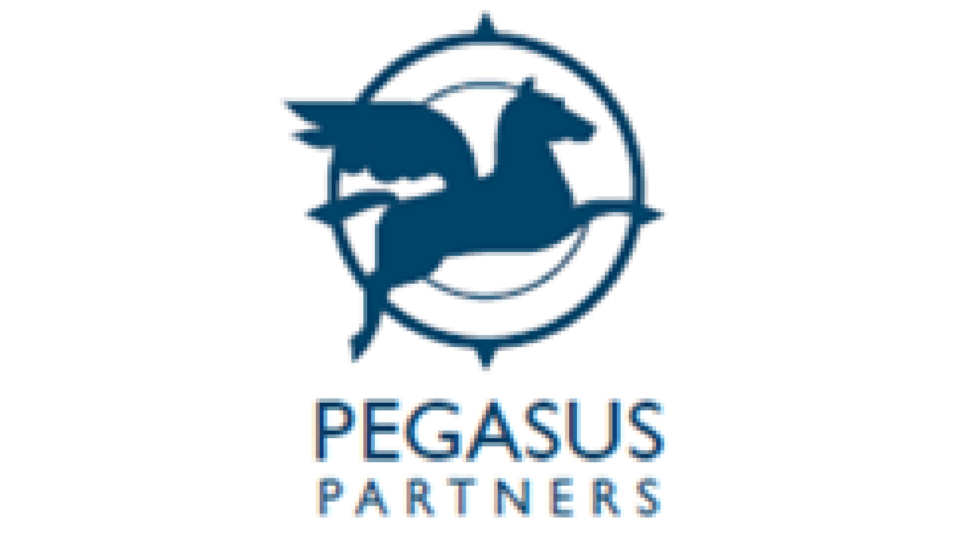 Pegasus Partners